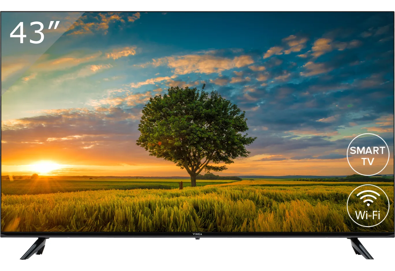 TV Vinga S43FHD25B