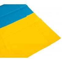 Прапор Vinga Україна, державний, 90*140см (VFUS140G)