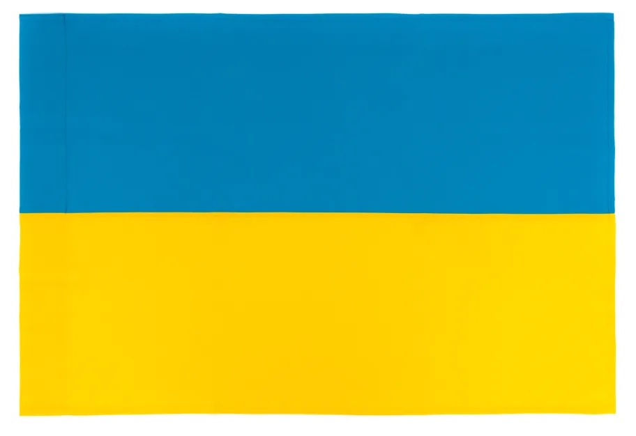 Прапор Vinga Україна, державний, 60*90см (VFUS090G)